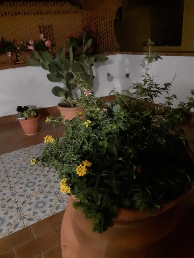 Dolce Far Niente Villa Noto Buitenkant foto